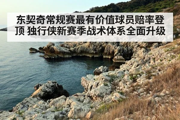 东契奇常规赛最有价值球员赔率登顶 独行侠新赛季战术体系全面升级
